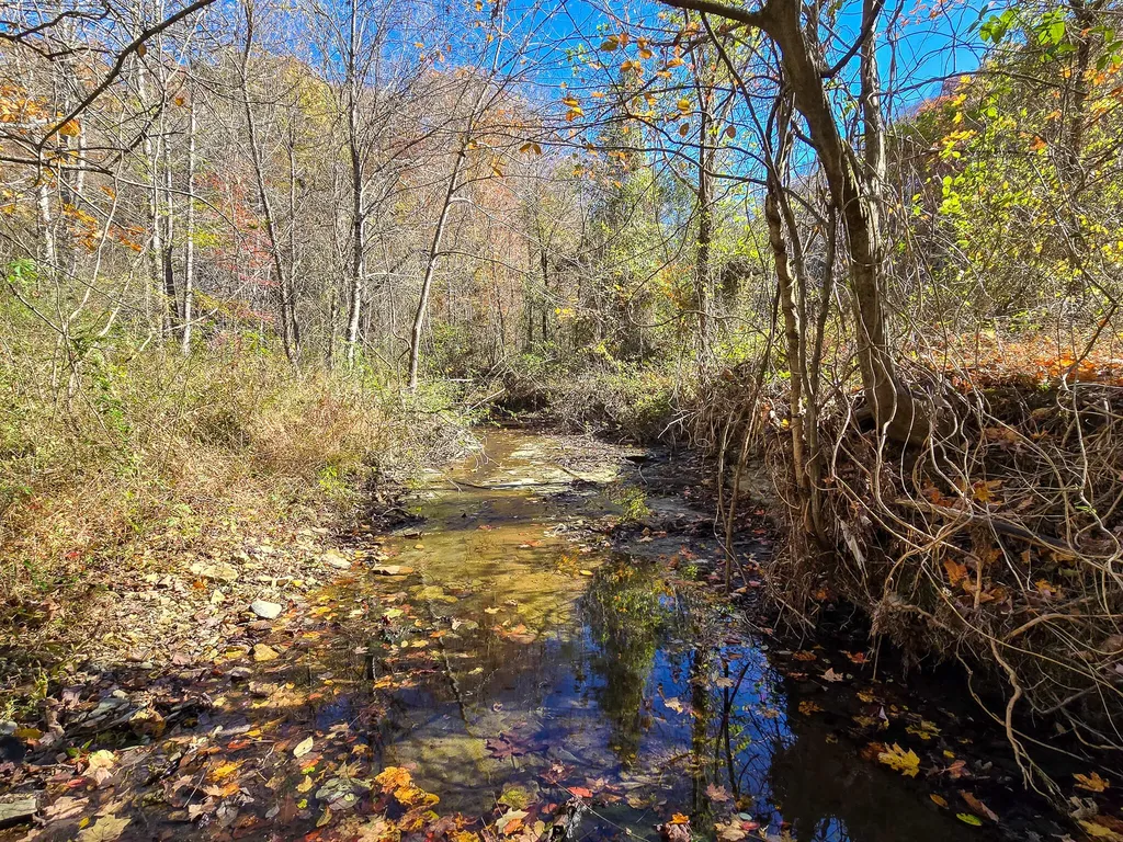 Tract 2 Bastin Creek Road Kings Mountain KY 40442