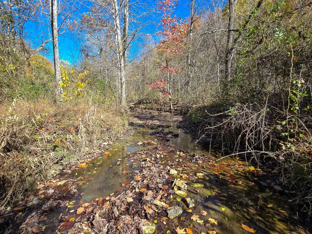 Tract 2 Bastin Creek Road Kings Mountain KY 40442