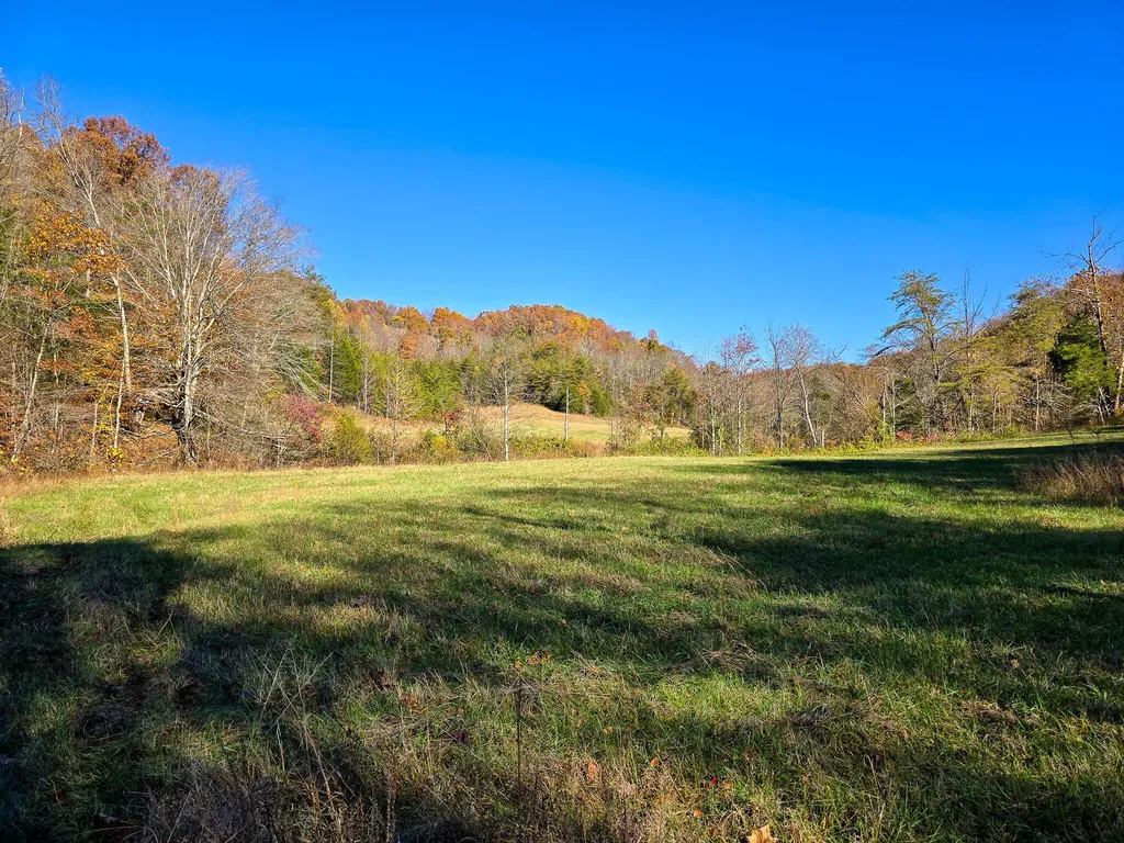 Tract 2 Bastin Creek Road Kings Mountain KY 40442