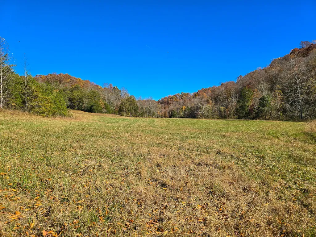 Tract 2 Bastin Creek Road Kings Mountain KY 40442