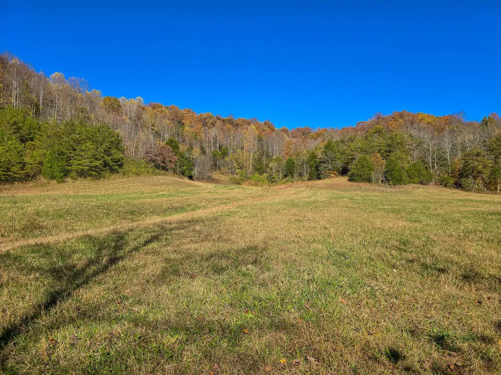 Tract 2 Bastin Creek Road Kings Mountain KY 40442