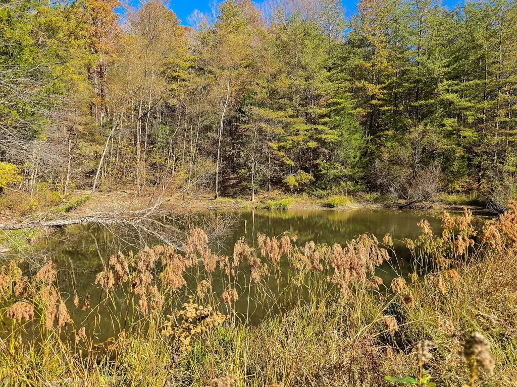 Tract 2 Bastin Creek Road Kings Mountain KY 40442