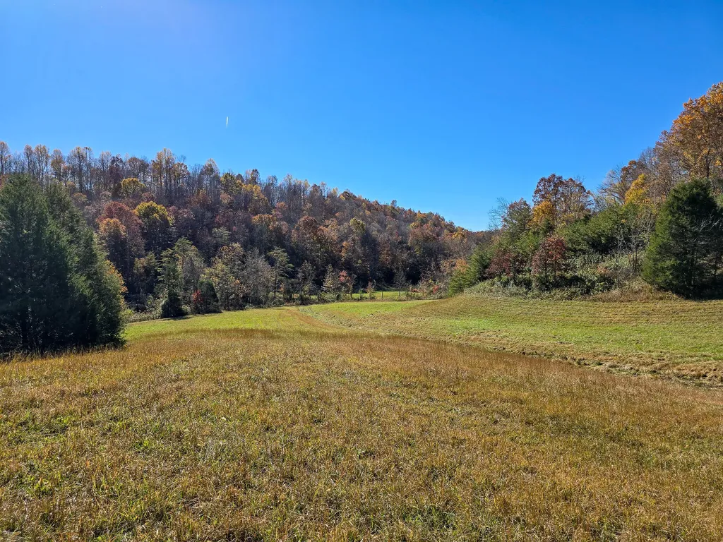 Tract 2 Bastin Creek Road Kings Mountain KY 40442