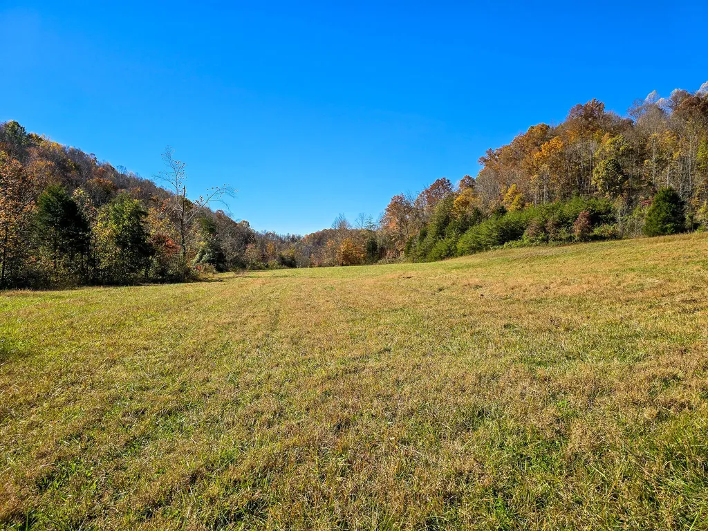 Tract 2 Bastin Creek Road Kings Mountain KY 40442