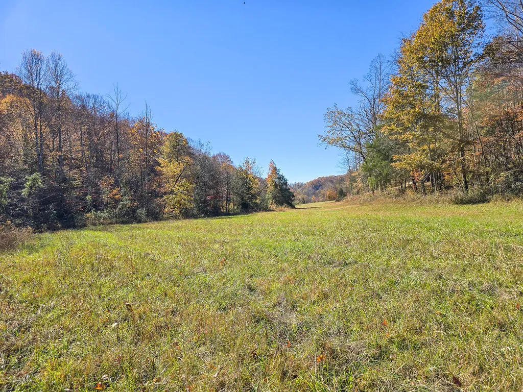 Tract 2 Bastin Creek Road Kings Mountain KY 40442