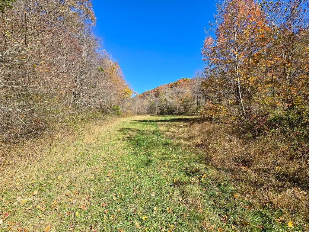 Tract 2 Bastin Creek Road Kings Mountain KY 40442