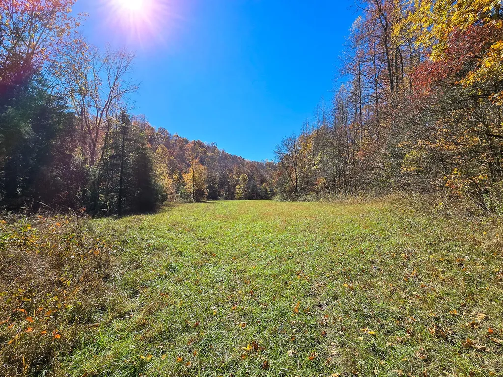 Tract 2 Bastin Creek Road Kings Mountain KY 40442