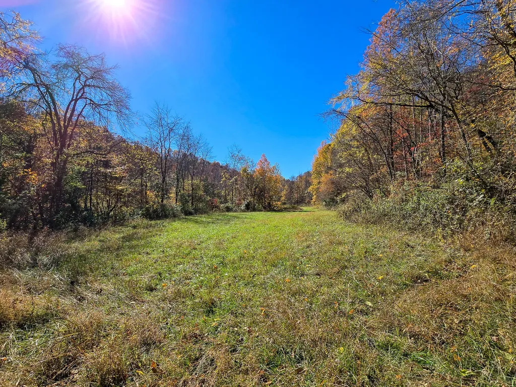 Tract 2 Bastin Creek Road Kings Mountain KY 40442