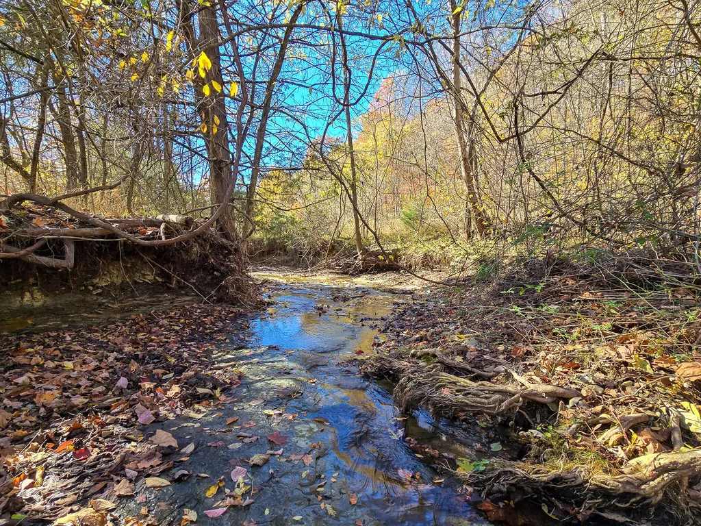 Tract 2 Bastin Creek Road Kings Mountain KY 40442