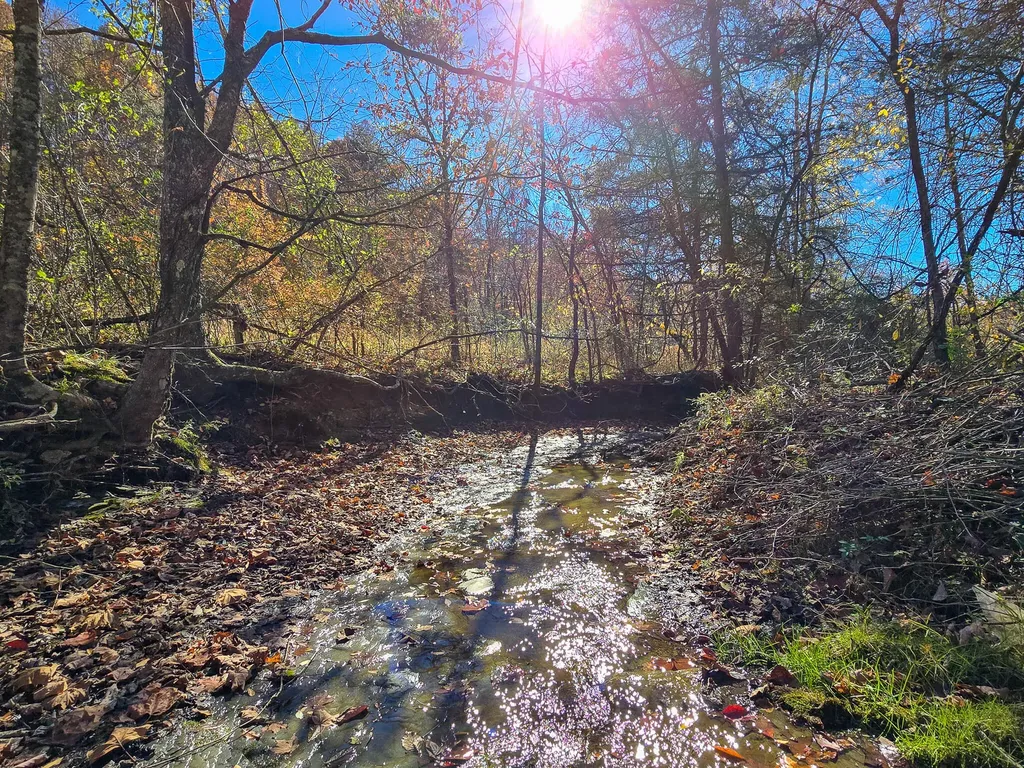 Tract 2 Bastin Creek Road Kings Mountain KY 40442