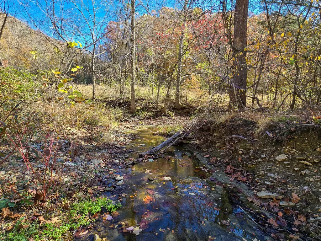 Tract 2 Bastin Creek Road Kings Mountain KY 40442