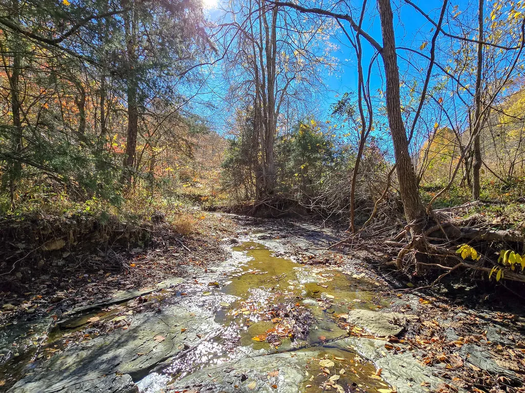 Tract 2 Bastin Creek Road Kings Mountain KY 40442