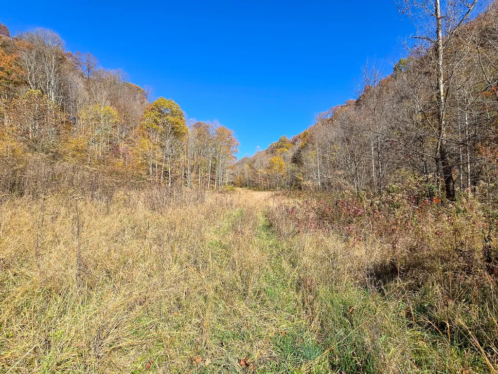 Tract 2 Bastin Creek Road Kings Mountain KY 40442