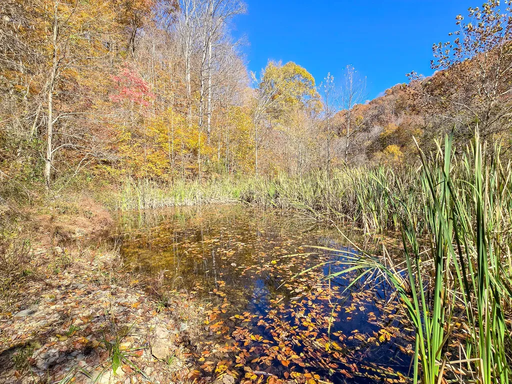 Tract 2 Bastin Creek Road Kings Mountain KY 40442