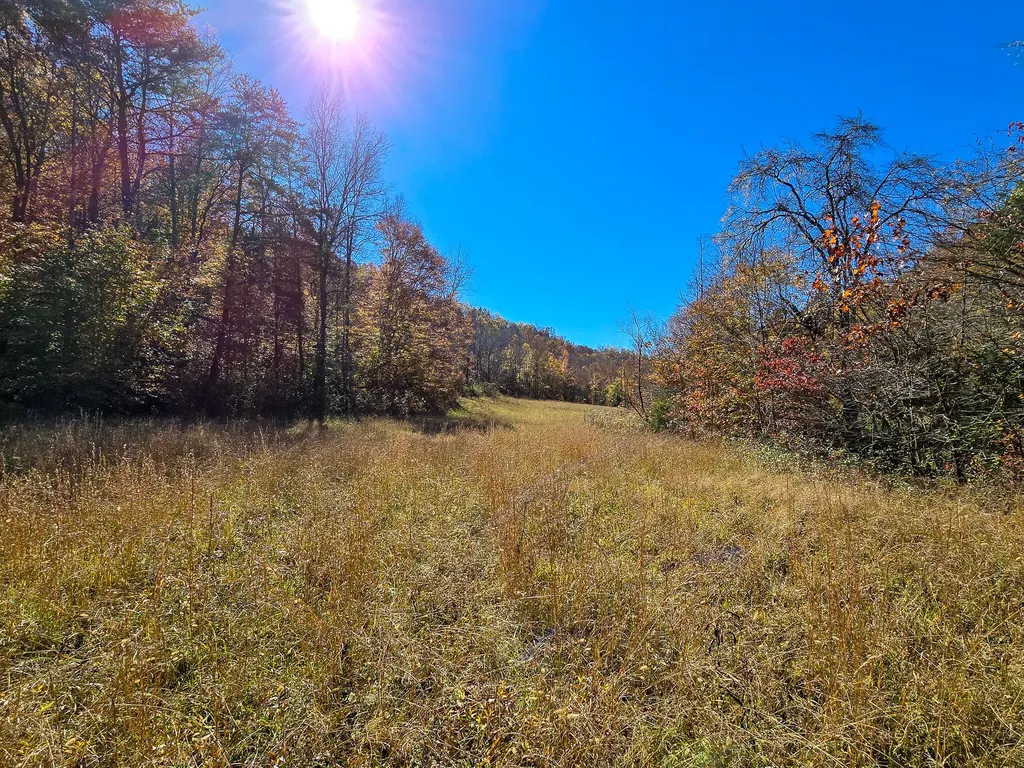Tract 2 Bastin Creek Road Kings Mountain KY 40442