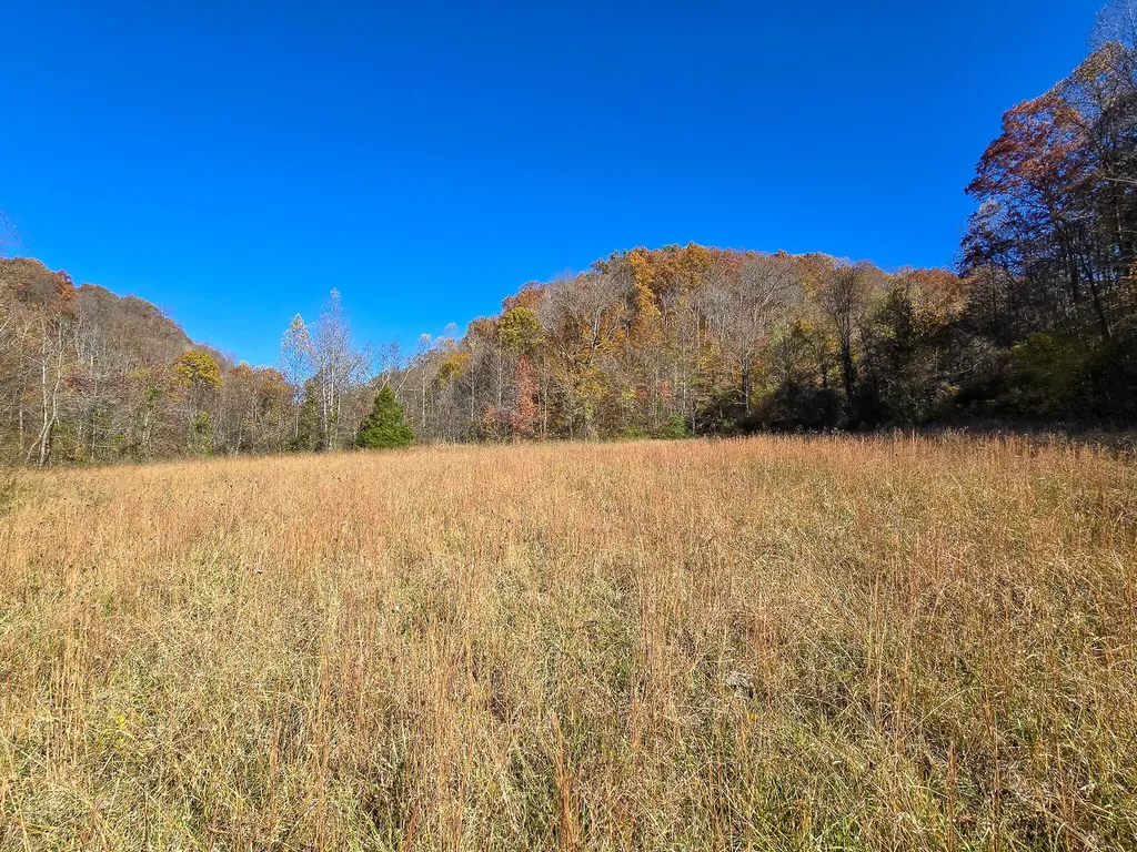 Tract 2 Bastin Creek Road Kings Mountain KY 40442