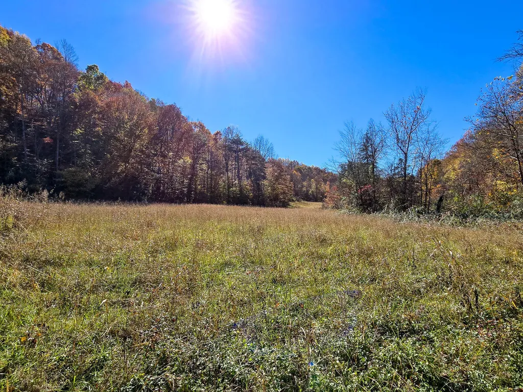 Tract 2 Bastin Creek Road Kings Mountain KY 40442