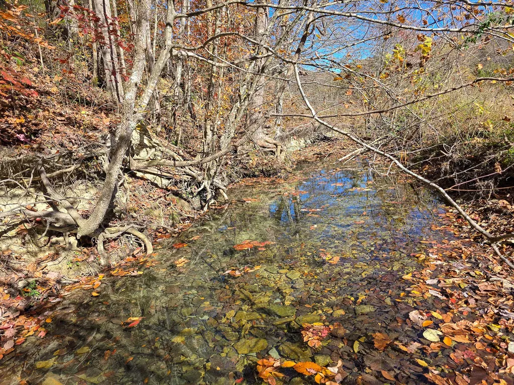 Tract 2 Bastin Creek Road Kings Mountain KY 40442