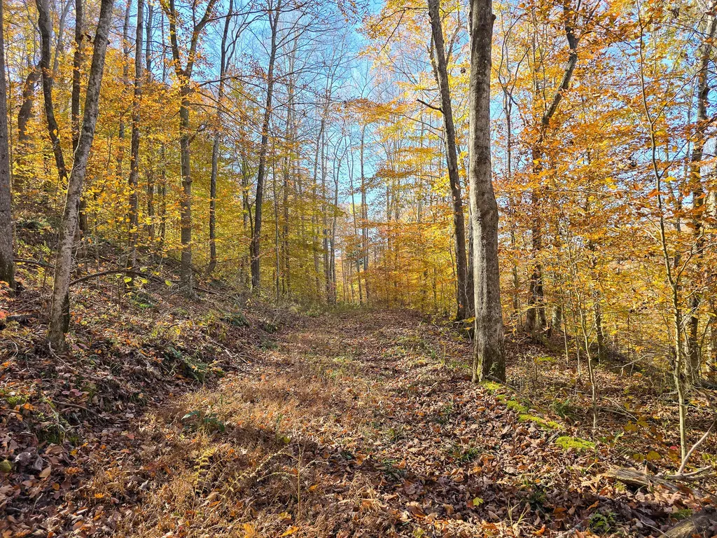 Tract 2 Bastin Creek Road Kings Mountain KY 40442