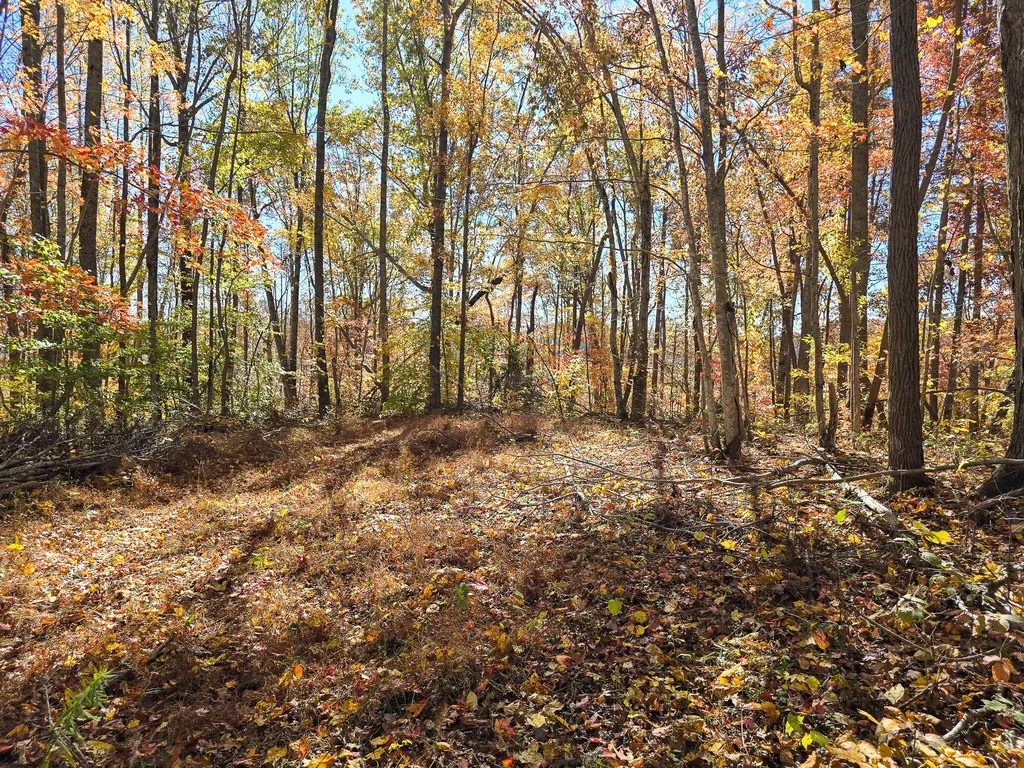 Tract 2 Bastin Creek Road Kings Mountain KY 40442