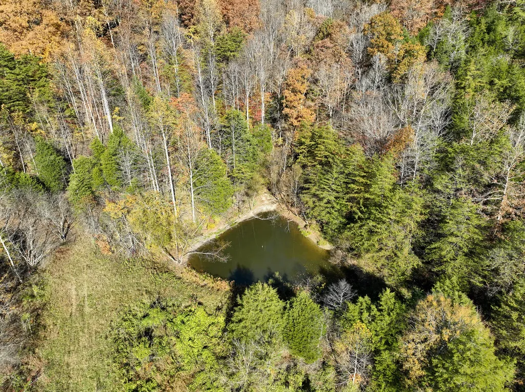 Tract 2 Bastin Creek Road Kings Mountain KY 40442