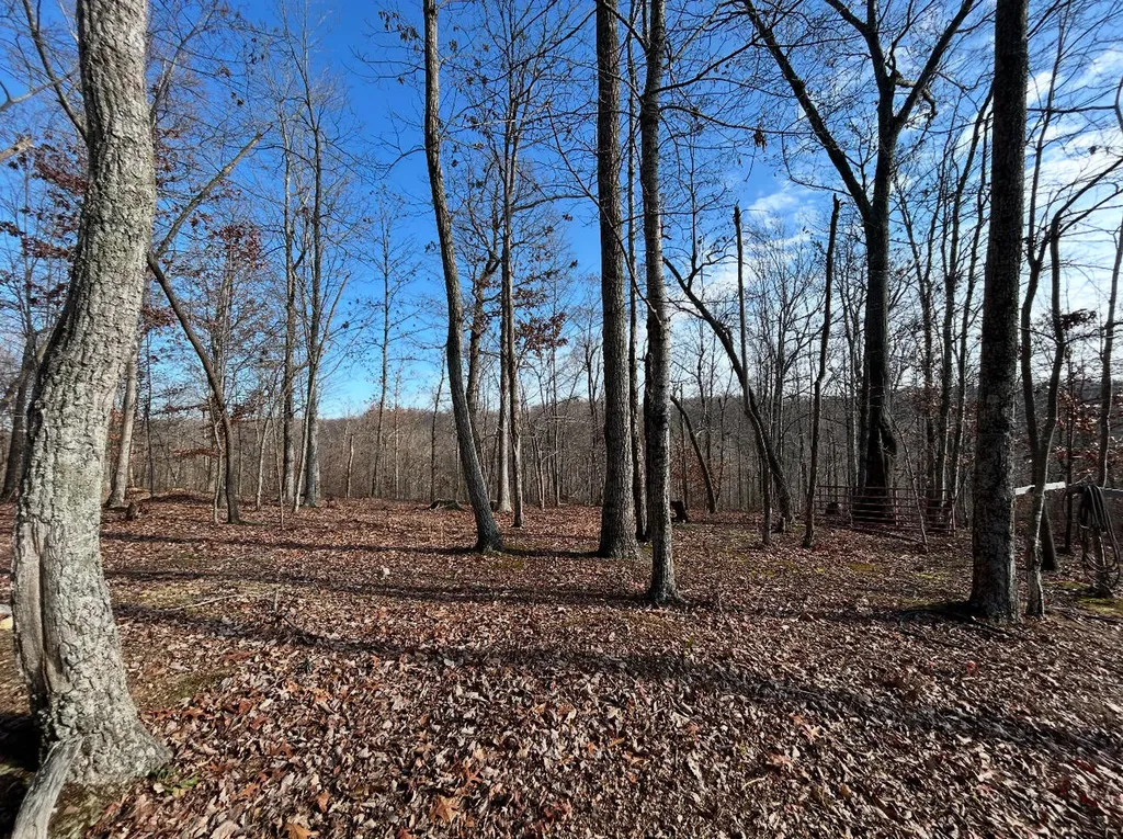 7205 White Oak Road Junction City KY 40440