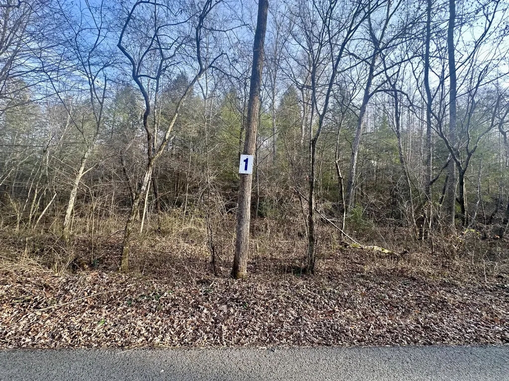 Lot 1 Radford Road East Bernstadt KY 40729