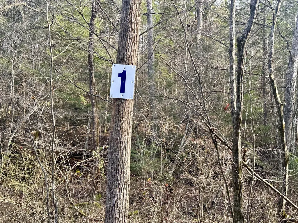Lot 1 Radford Road East Bernstadt KY 40729