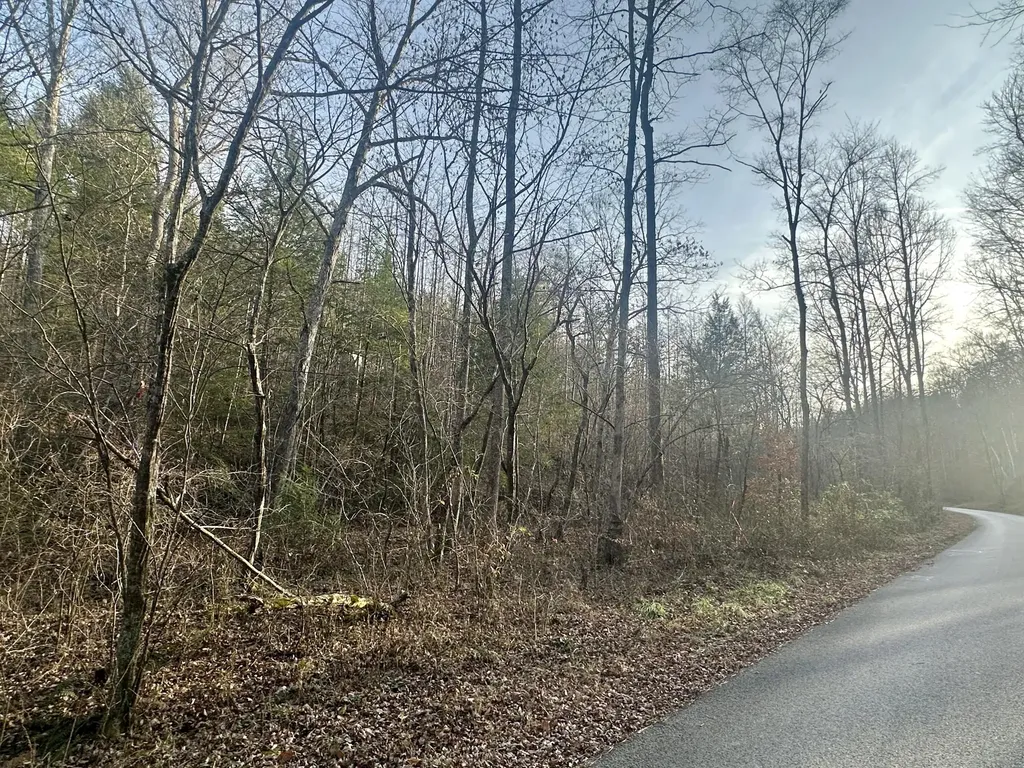 Lot 1 Radford Road East Bernstadt KY 40729