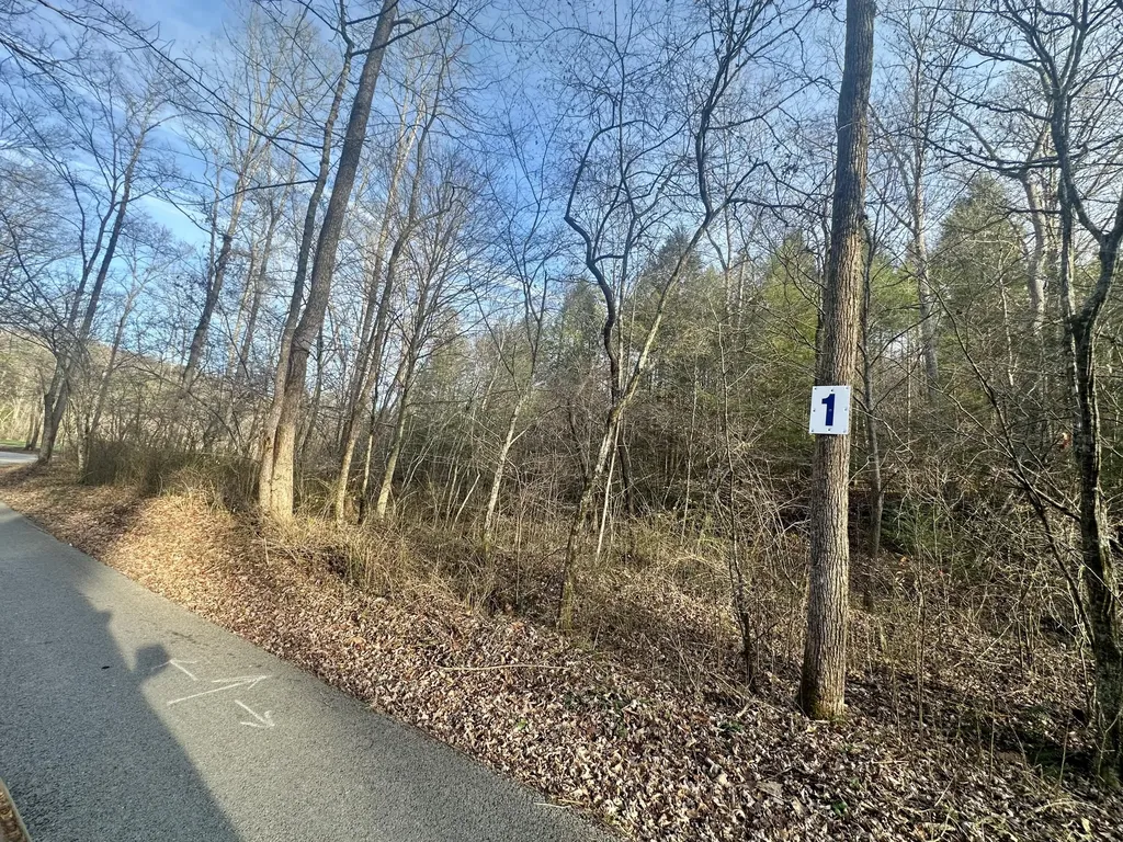 Lot 1 Radford Road East Bernstadt KY 40729