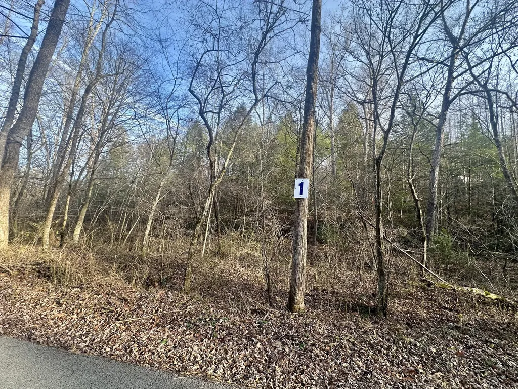 Lot 1 Radford Road East Bernstadt KY 40729