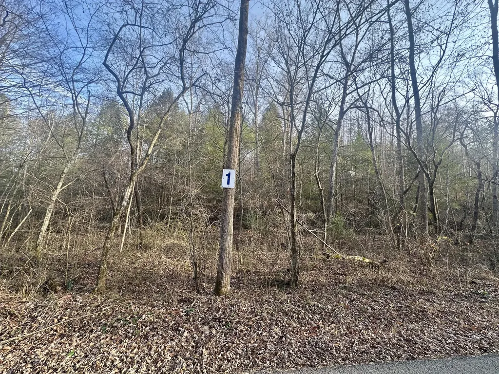 Lot 1 Radford Road East Bernstadt KY 40729