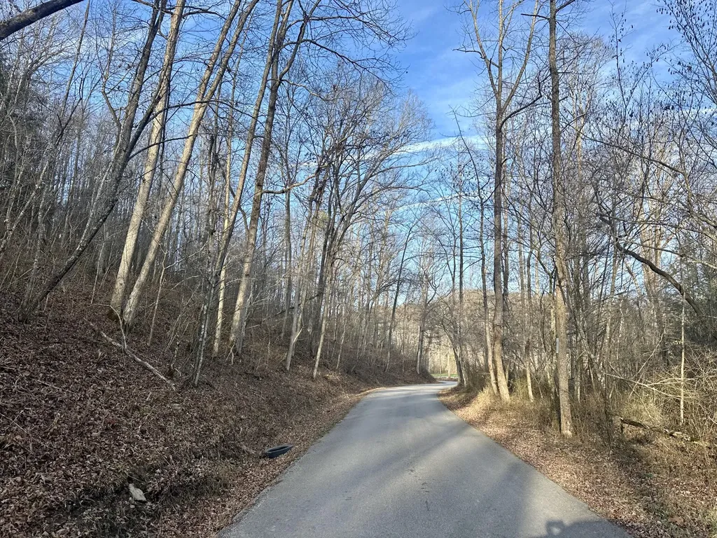 Lot 1 Radford Road East Bernstadt KY 40729