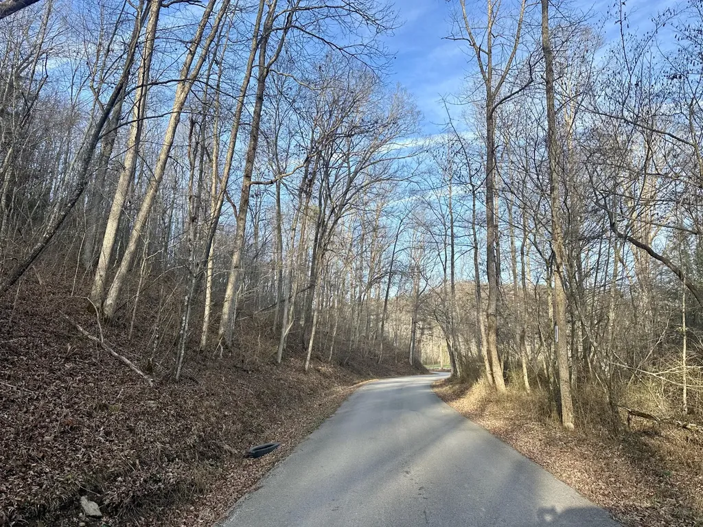Lot 1 Radford Road East Bernstadt KY 40729