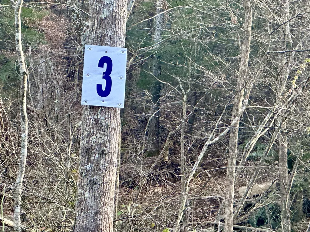 Lot 3 Radford Road East Bernstadt KY 40729