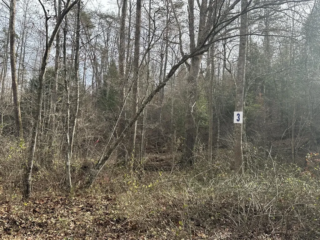Lot 3 Radford Road East Bernstadt KY 40729