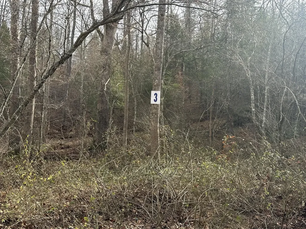 Lot 3 Radford Road East Bernstadt KY 40729