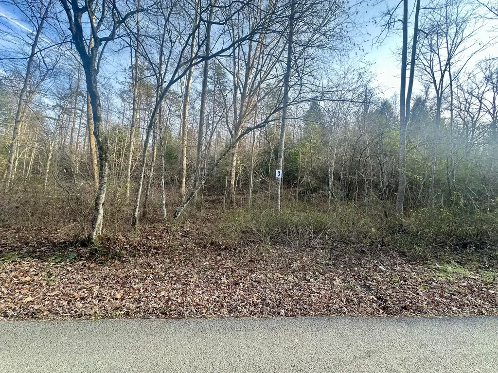 Lot 3 Radford Road East Bernstadt KY 40729