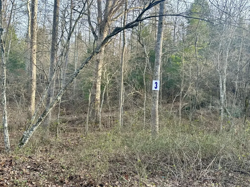 Lot 3 Radford Road East Bernstadt KY 40729