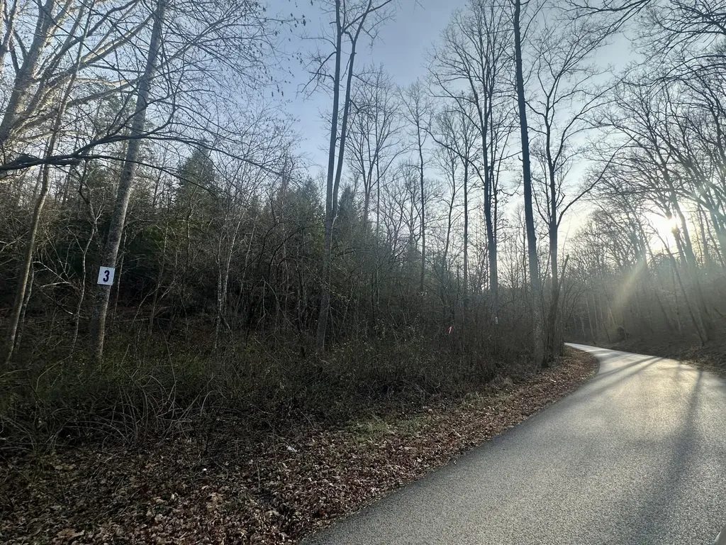 Lot 3 Radford Road East Bernstadt KY 40729