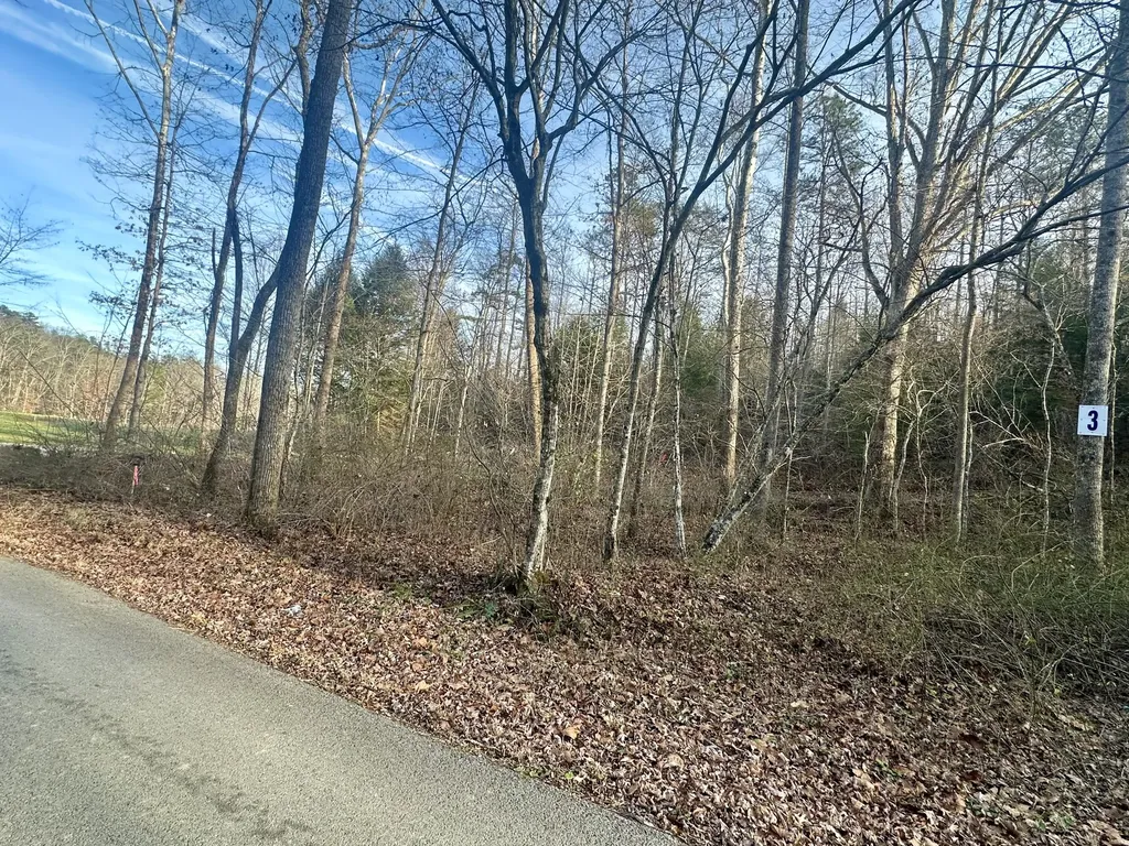 Lot 3 Radford Road East Bernstadt KY 40729
