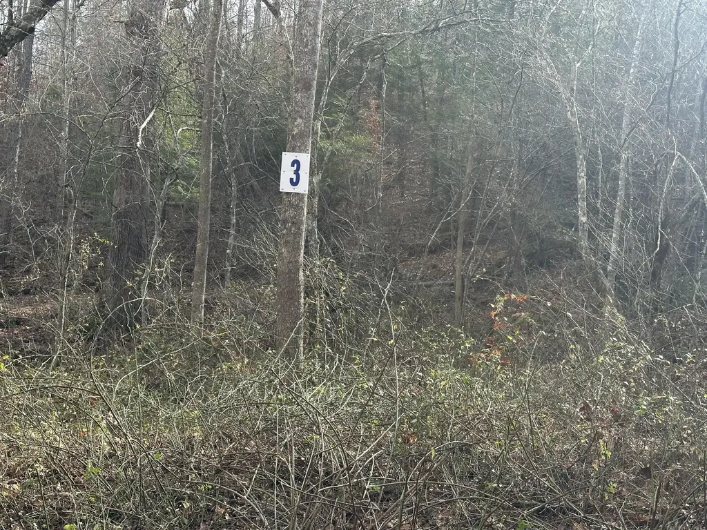 Lot 3 Radford Road East Bernstadt KY 40729