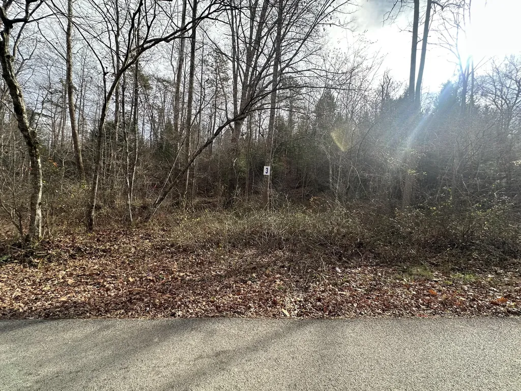 Lot 3 Radford Road East Bernstadt KY 40729