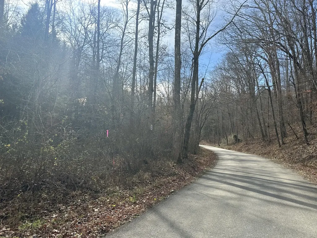 Lot 3 Radford Road East Bernstadt KY 40729