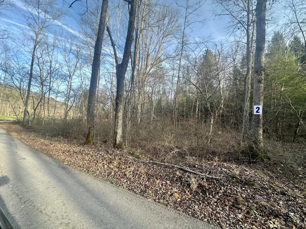 Lot 2 Radford Road East Bernstadt KY 40729