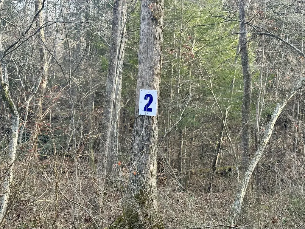 Lot 2 Radford Road East Bernstadt KY 40729