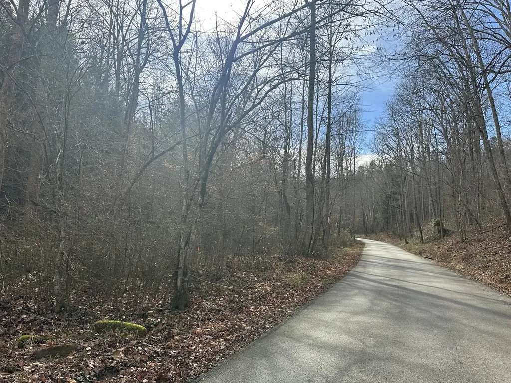Lot 2 Radford Road East Bernstadt KY 40729