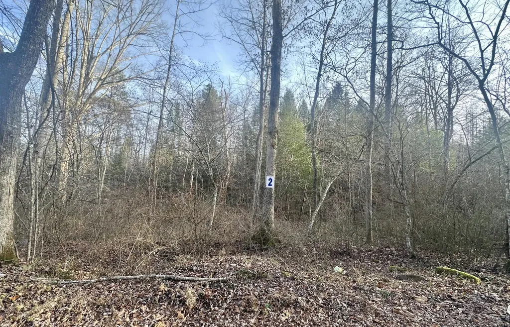Lot 2 Radford Road East Bernstadt KY 40729