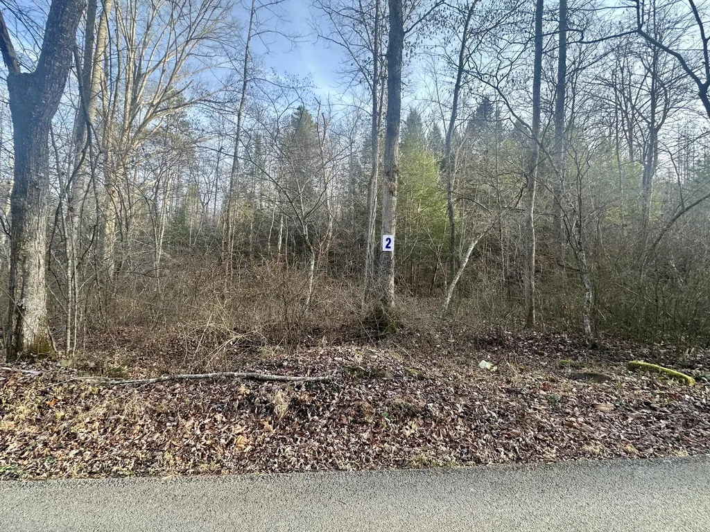 Lot 2 Radford Road East Bernstadt KY 40729