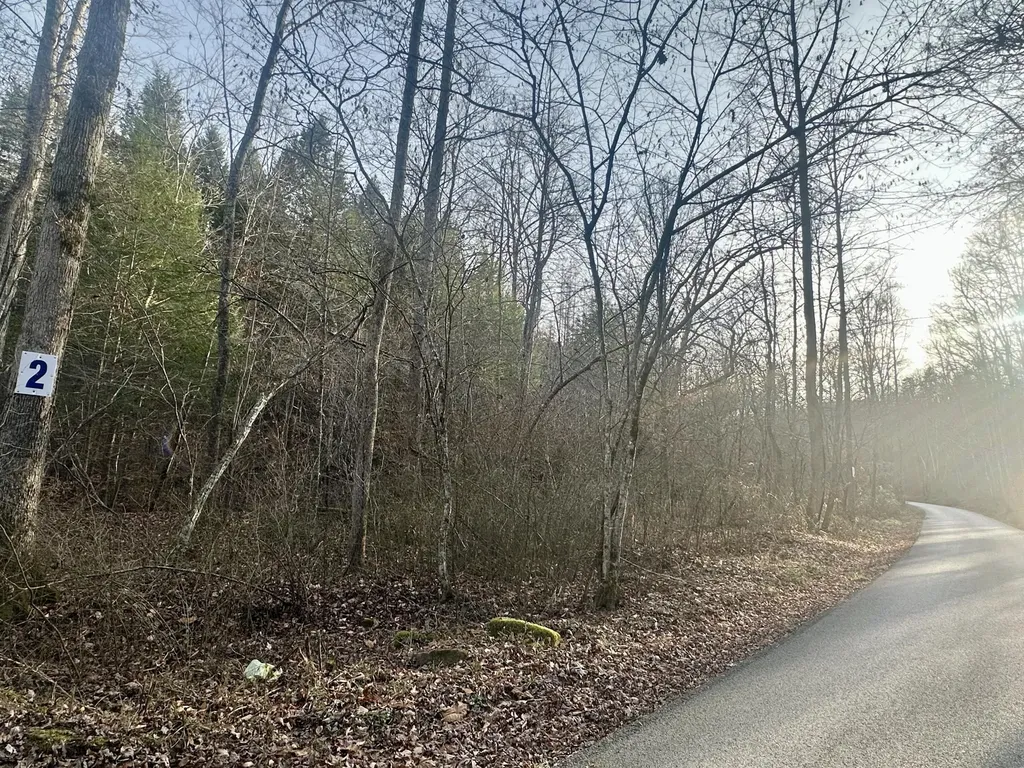 Lot 2 Radford Road East Bernstadt KY 40729